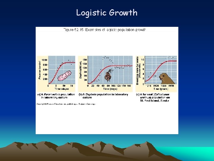 Logistic Growth 