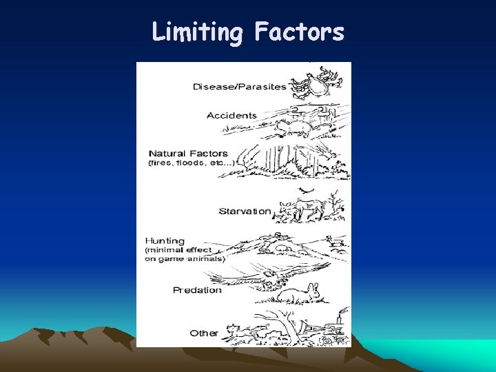 Limiting Factors 