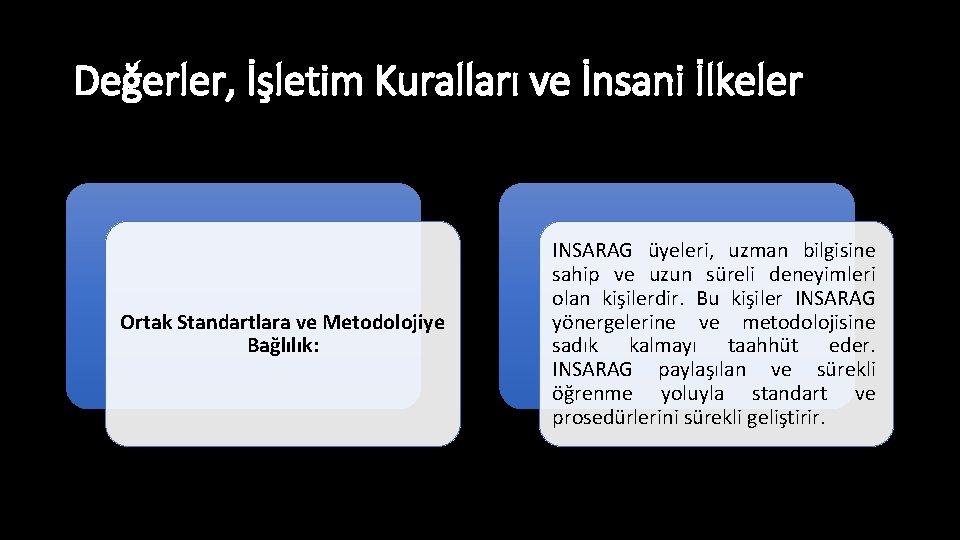 Değerler, İşletim Kuralları ve İnsani İlkeler Ortak Standartlara ve Metodolojiye Bağlılık: INSARAG üyeleri, uzman