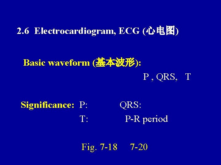 2. 6 Electrocardiogram, ECG (心电图) Basic waveform (基本波形): P , QRS, T Significance: P:
