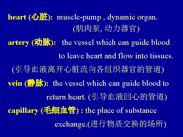 heart (心脏): muscle-pump , dynamic organ. (肌肉泵, 动力器官) artery (动脉): the vessel which can
