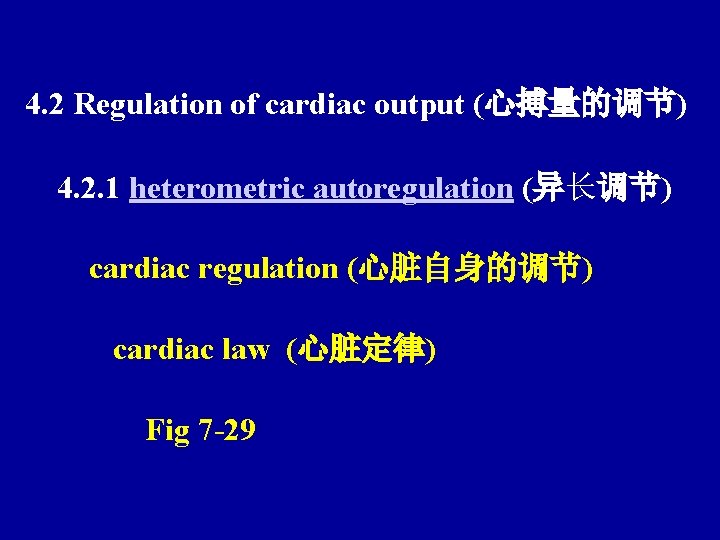 4. 2 Regulation of cardiac output (心搏量的调节) 4. 2. 1 heterometric autoregulation (异长调节) cardiac