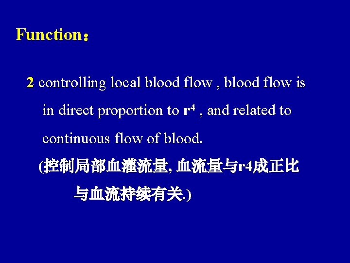 Function： 2 controlling local blood flow , blood flow is in direct proportion to
