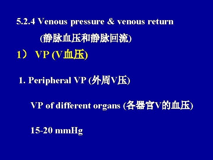 5. 2. 4 Venous pressure & venous return (静脉血压和静脉回流) 1） VP (V血压) 1. Peripheral