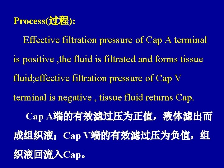 Process(过程): Effective filtration pressure of Cap A terminal is positive , the fluid is
