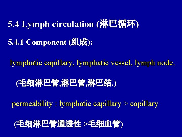 5. 4 Lymph circulation (淋巴循环) 5. 4. 1 Component (组成): lymphatic capillary, lymphatic vessel,