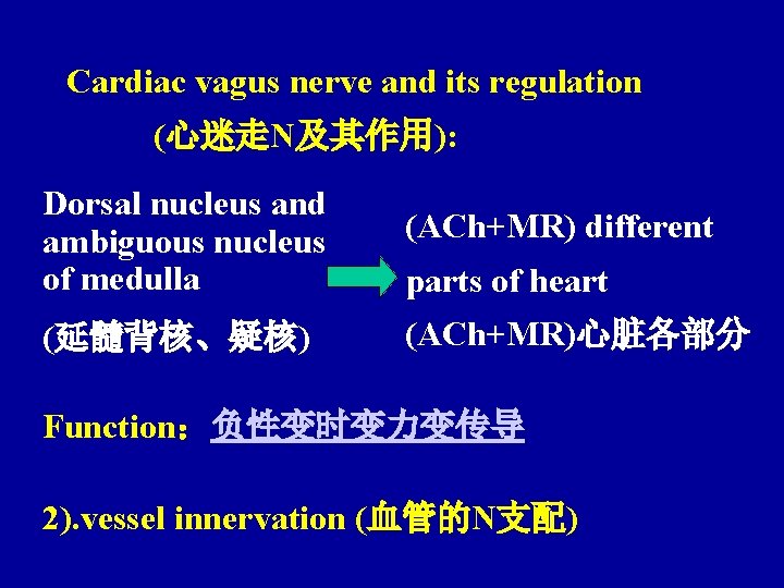 Cardiac vagus nerve and its regulation (心迷走N及其作用): Dorsal nucleus and ambiguous nucleus of medulla