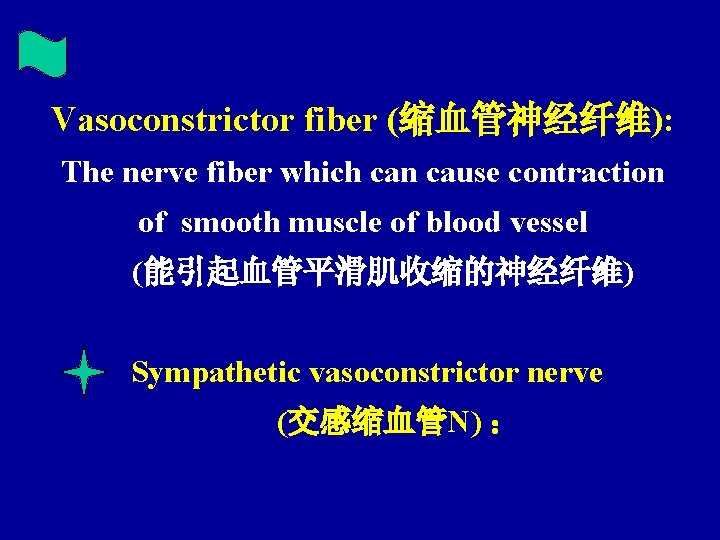 Vasoconstrictor fiber (缩血管神经纤维): The nerve fiber which can cause contraction of smooth muscle of