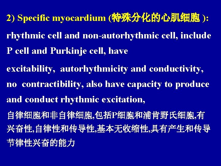 2) Specific myocardium (特殊分化的心肌细胞 ): rhythmic cell and non-autorhythmic cell, include P cell and