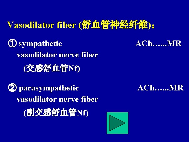 Vasodilator fiber (舒血管神经纤维)： ① sympathetic vasodilator nerve fiber ACh…. . . MR (交感舒血管Nf) ②