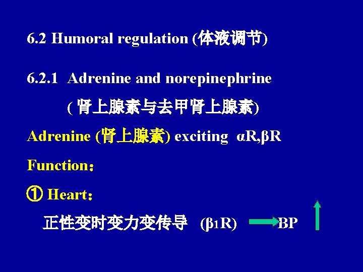 6. 2 Humoral regulation (体液调节) 6. 2. 1 Adrenine and norepinephrine ( 肾上腺素与去甲肾上腺素) Adrenine