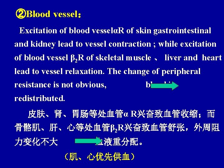 ②Blood vessel： Excitation of blood vesselαR of skin gastrointestinal and kidney lead to vessel
