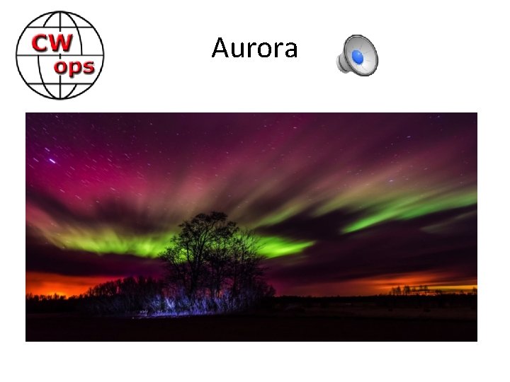 Aurora 