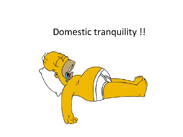 Domestic tranquility !! 