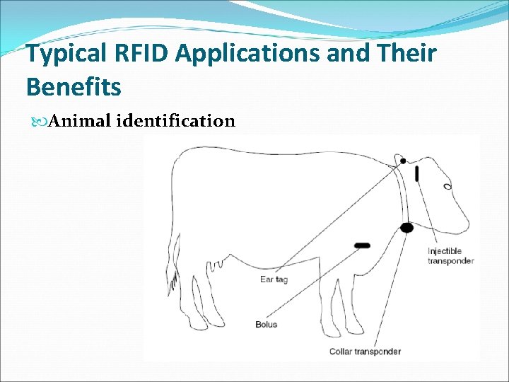 Typical RFID Applications and Their Benefits Animal identification 