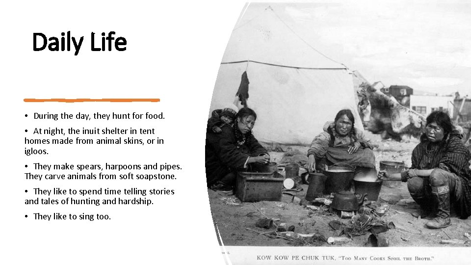 Daily Life • During the day, they hunt for food. • At night, the