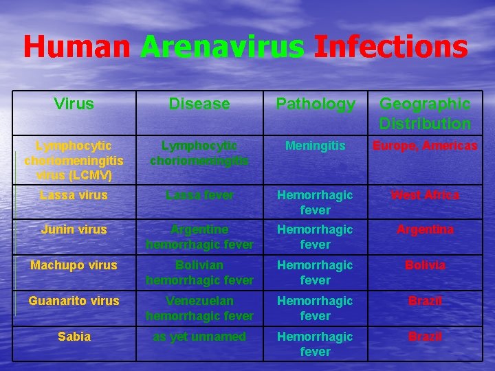 Human Arenavirus Infections Virus Disease Pathology Geographic Distribution Lymphocytic choriomeningitis virus (LCMV) Lymphocytic choriomeningitis