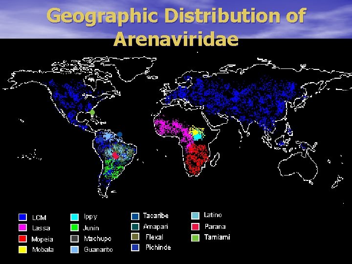 Geographic Distribution of Arenaviridae 