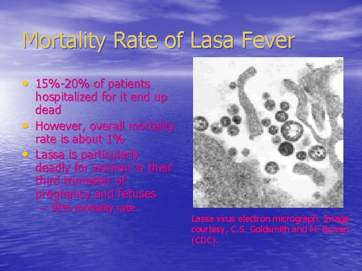 Mortality Rate of Lasa Fever • 15%-20% of patients • • hospitalized for it