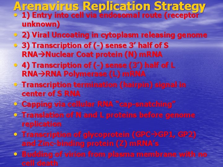 Arenavirus Replication Strategy • 1) Entry into cell via endosomal route (receptor • •