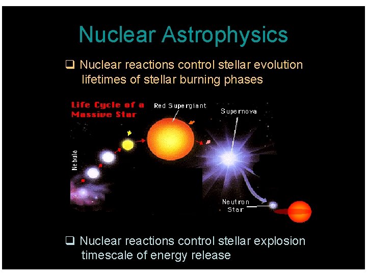 Nuclear Astrophysics q Nuclear reactions control stellar evolution lifetimes of stellar burning phases q