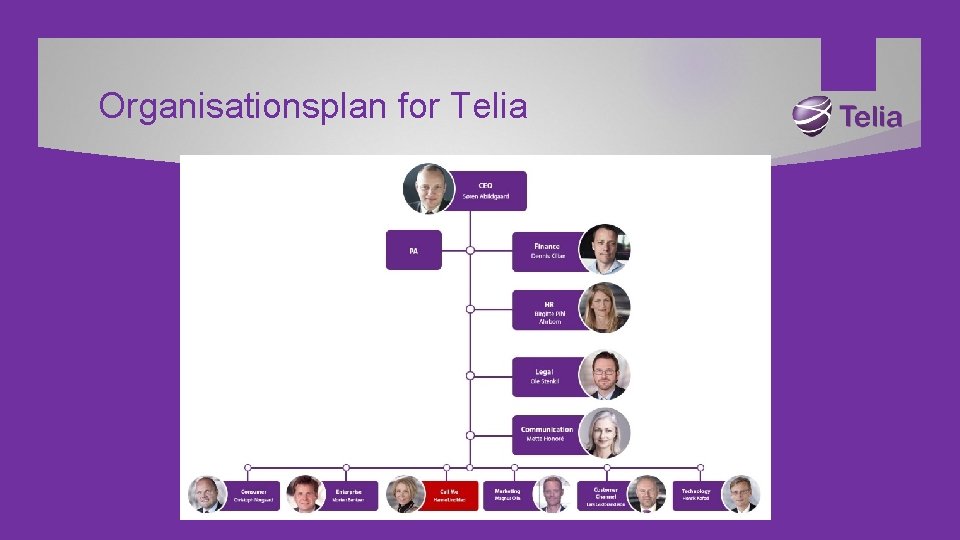 Organisationsplan for Telia 