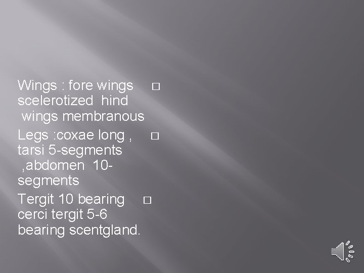 Wings : fore wings � scelerotized hind wings membranous Legs : coxae long ,