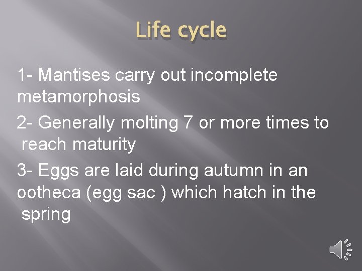 Life cycle 1 - Mantises carry out incomplete metamorphosis 2 - Generally molting 7