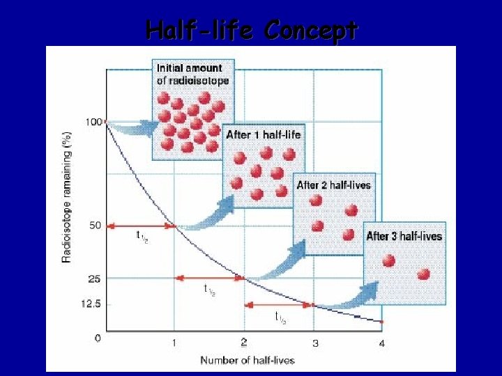 Half-life Concept 