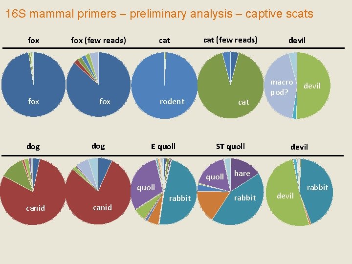 16 S mammal primers – preliminary analysis – captive scats fox dog fox (few