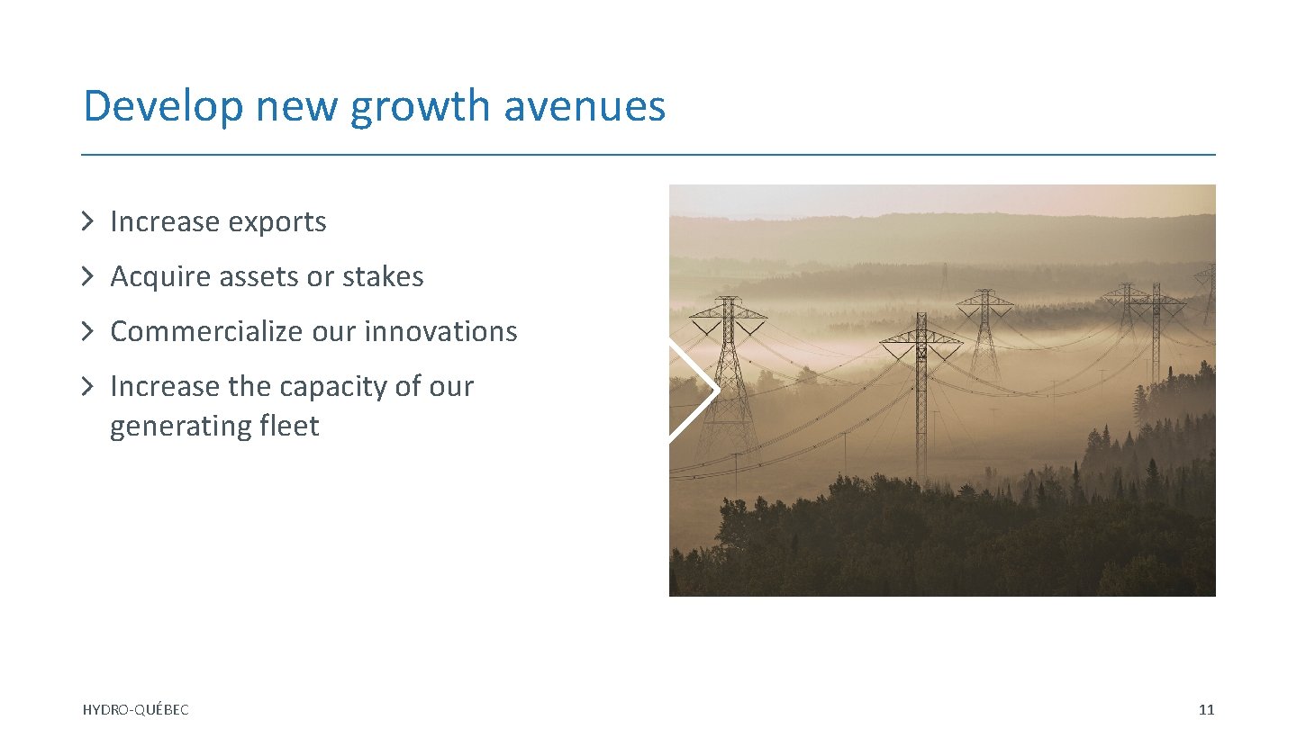 Develop new growth avenues Increase exports Acquire assets or stakes Commercialize our innovations Increase