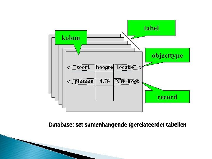 tabel kolom objecttype soort hoogte locatie plataan 4. 78 NW-hoek record Database: set samenhangende