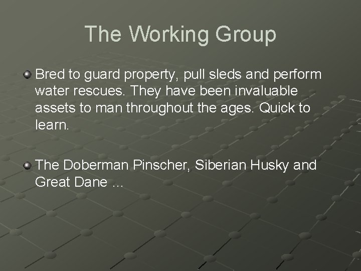 The Working Group Bred to guard property, pull sleds and perform water rescues. They