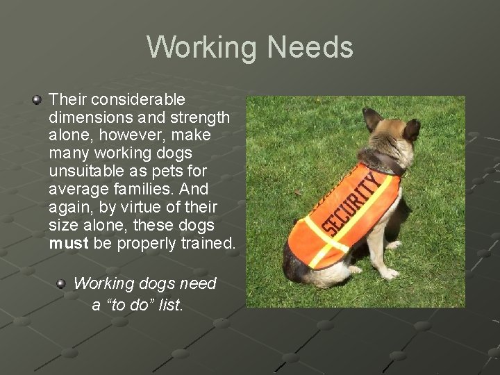 Working Needs Their considerable dimensions and strength alone, however, make many working dogs unsuitable