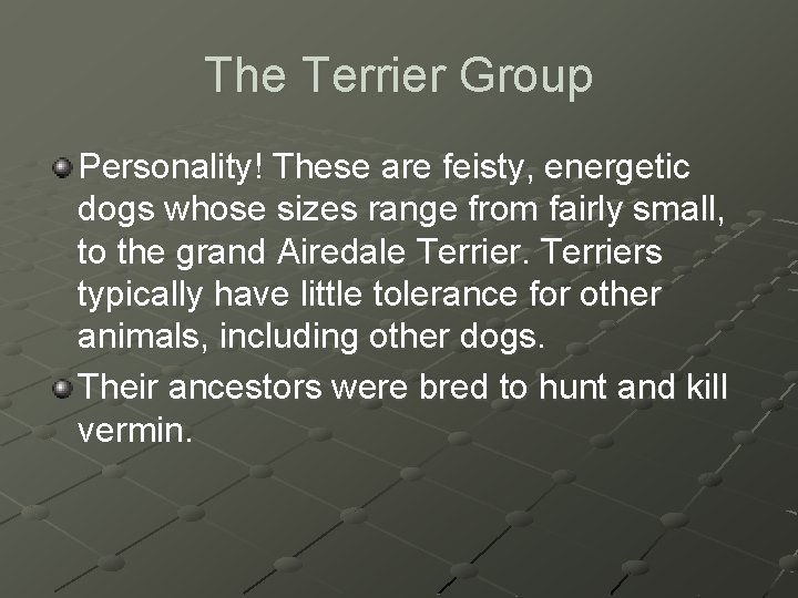 The Terrier Group Personality! These are feisty, energetic dogs whose sizes range from fairly