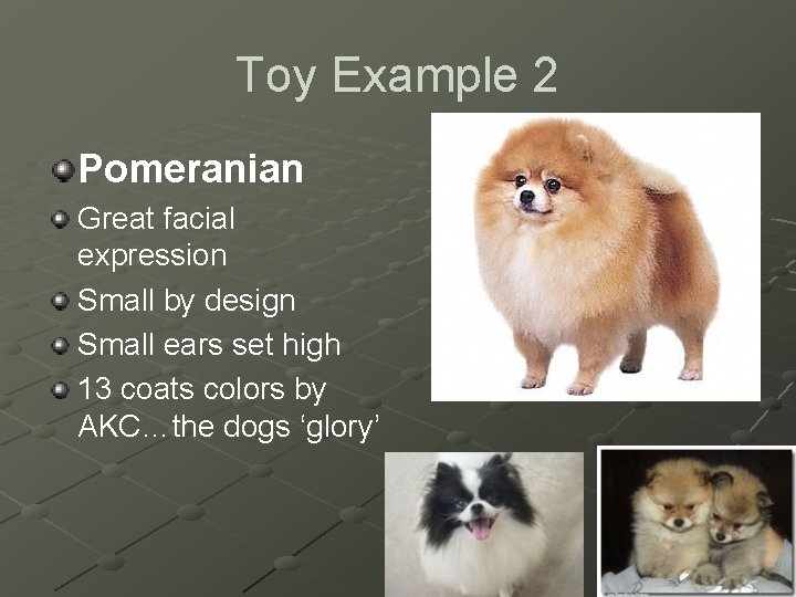 Toy Example 2 Pomeranian Great facial expression Small by design Small ears set high