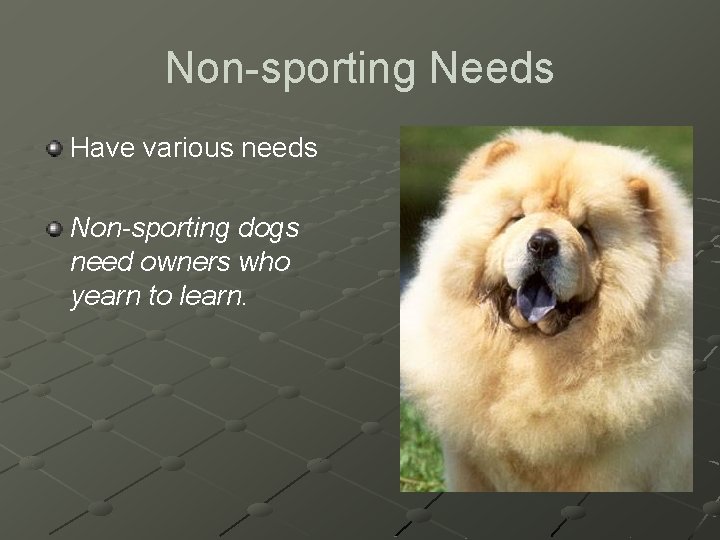Non-sporting Needs Have various needs Non-sporting dogs need owners who yearn to learn. 