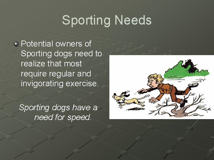 Sporting Needs Potential owners of Sporting dogs need to realize that most require regular