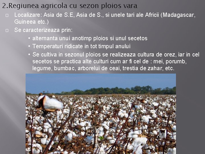 2. Regiunea agricola cu sezon ploios vara � � Localizare: Asia de S. E,