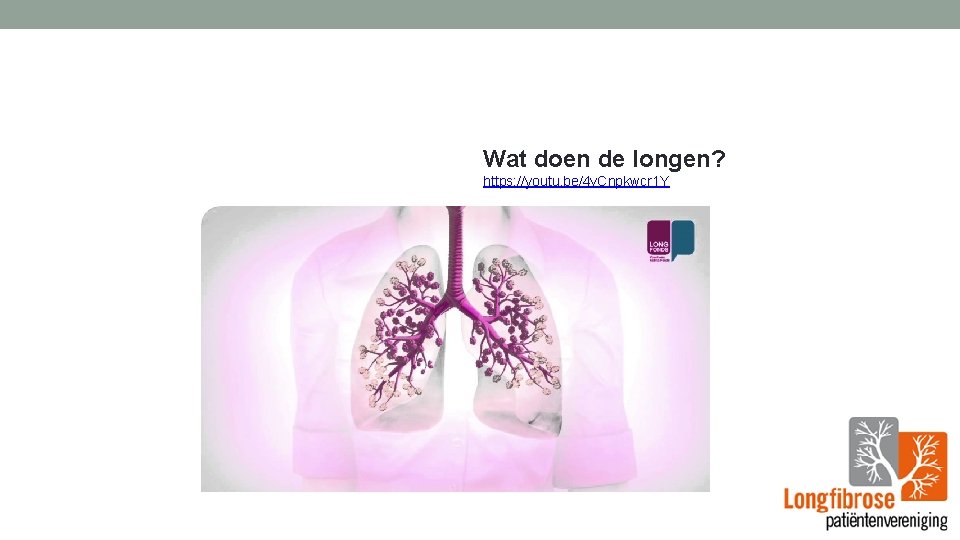 Wat doen de longen? https: //youtu. be/4 v. Cnpkwcr 1 Y 