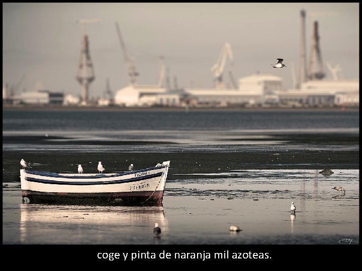 coge y pinta de naranja mil azoteas. 