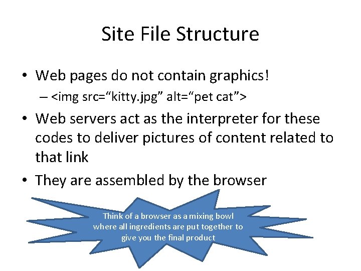 Site File Structure • Web pages do not contain graphics! – <img src=“kitty. jpg”