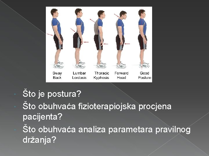 Što je postura? Što obuhvaća fizioterapiojska procjena pacijenta? Što obuhvaća analiza parametara pravilnog držanja?