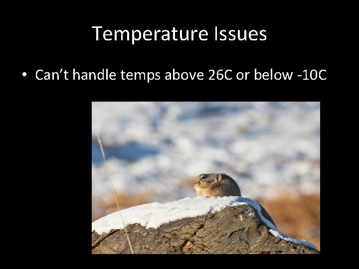 Temperature Issues • Can’t handle temps above 26 C or below -10 C 