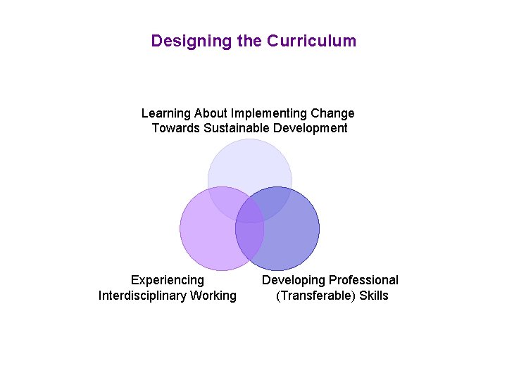 Designing the Curriculum Learning About Implementing Change Towards Sustainable Development Experiencing Interdisciplinary Working Developing