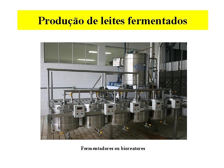 Produção de leites fermentados Fermentadores ou bioreatores 