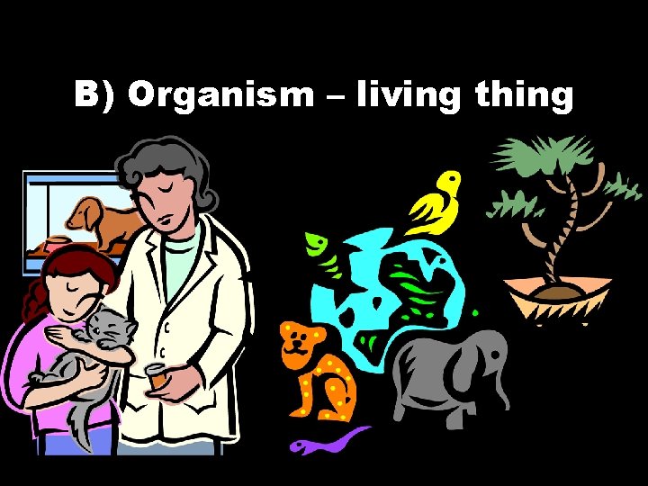 B) Organism – living thing 