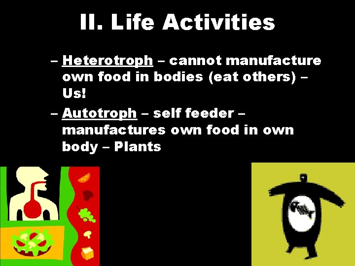 II. Life Activities – Heterotroph – cannot manufacture own food in bodies (eat others)
