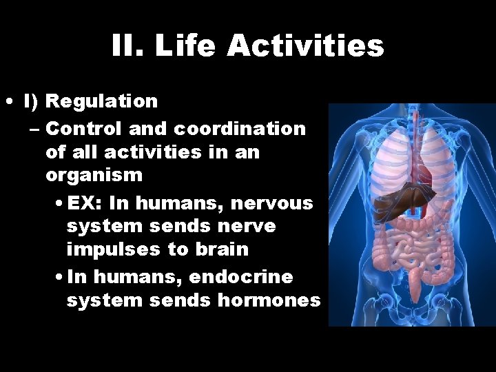 II. Life Activities • I) Regulation – Control and coordination of all activities in