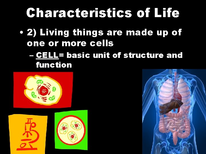 Characteristics of Life • 2) Living things are made up of one or more